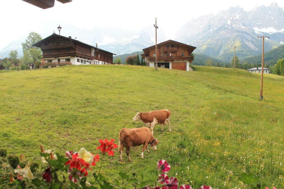Pension Sunnberg Going am Wilden Kaiser Esterno foto